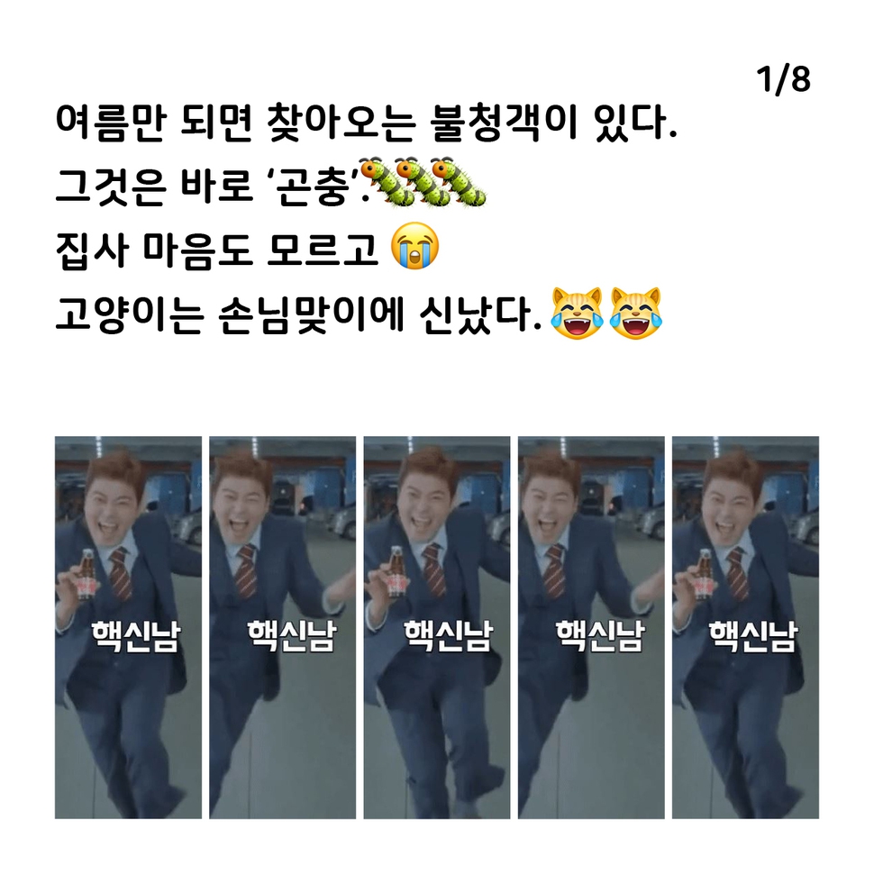 애니멀피플