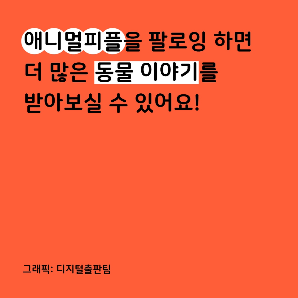 애니멀피플