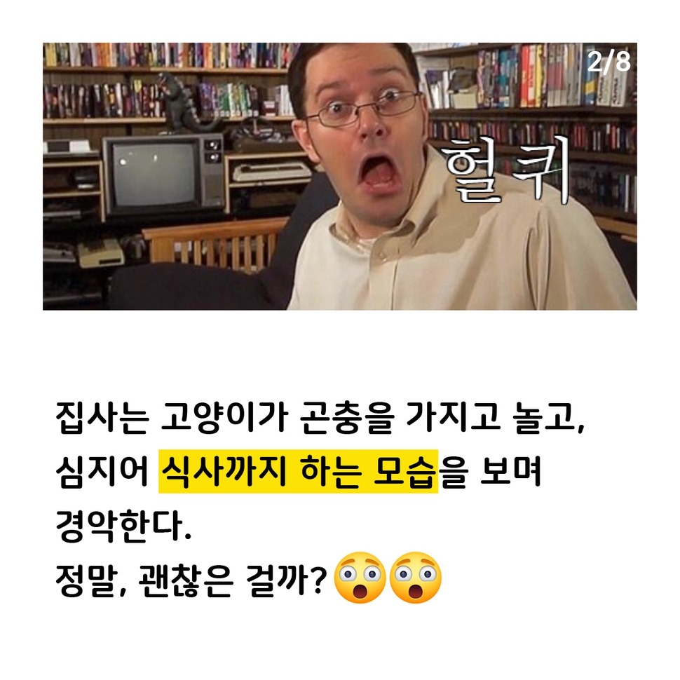 애니멀피플