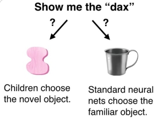 아이는 자신이 ‘컵‘이라는 단어를 알고 있으면 새로운 단어(dax)는 컵이 아닌 다른 무엇일 것이라고 생각하는데, 이를 ‘상호배타성 편향‘이라고 일컫는다.  arXiv 제공.