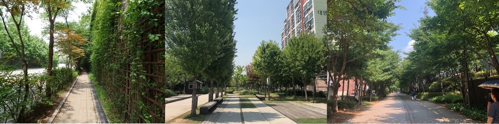 왼쪽부터 ‘서울 여름 녹음길’ 220곳으로 선정된 관악구 성현로(왼쪽부터), 마포구 경의선숲길 연남동 구간, 대흥동 구간 서울시 제공