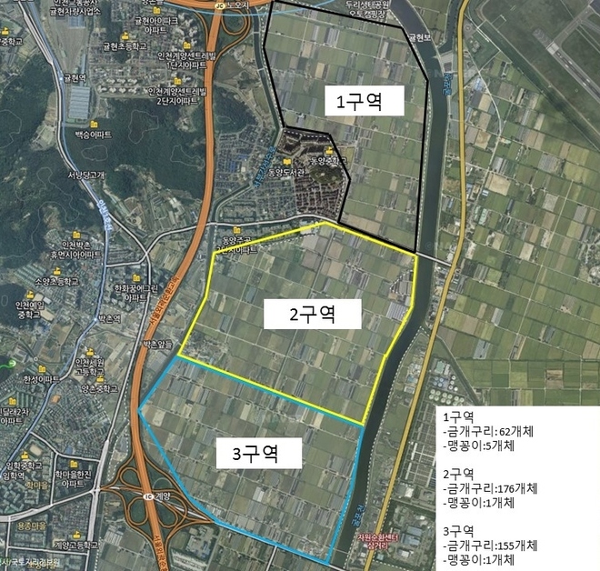 금개구리는 계양새도시 전역에서 서식하는 것으로 나타났다.