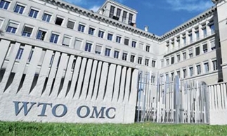 WTO 일반이사회서 일본 수출규제 논의