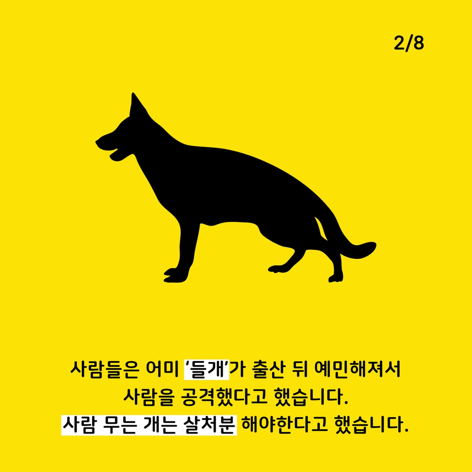 애니멀피플