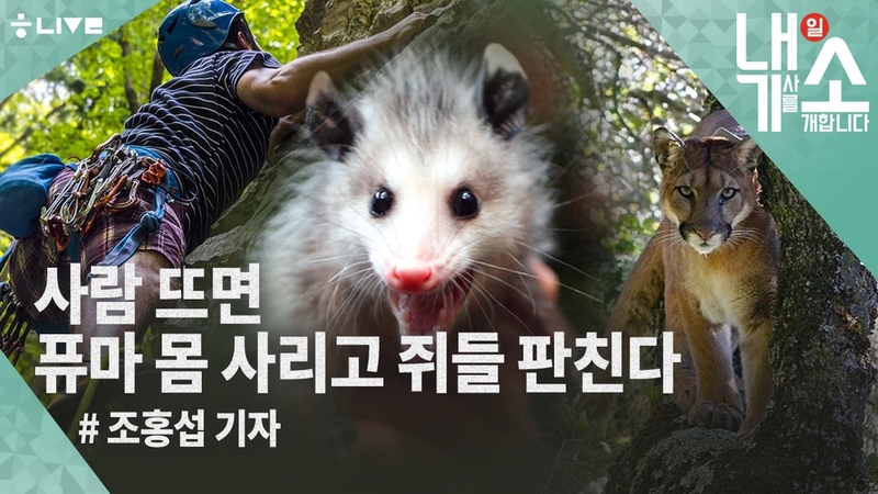 7월22일 내기소. 조홍섭 기자편. 한겨레 라이브