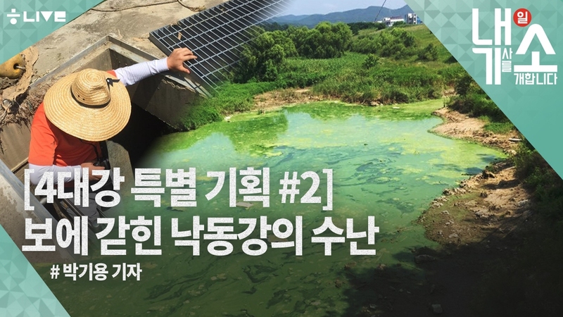 박기용 기자 내기소편 7월24일. 한겨레 라이브