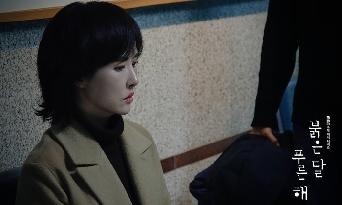 박일도를 찾아볼까, ‘미친’ 변호사 만나볼까