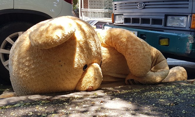 [포토에세이] 인형의 꿈 / 강창광