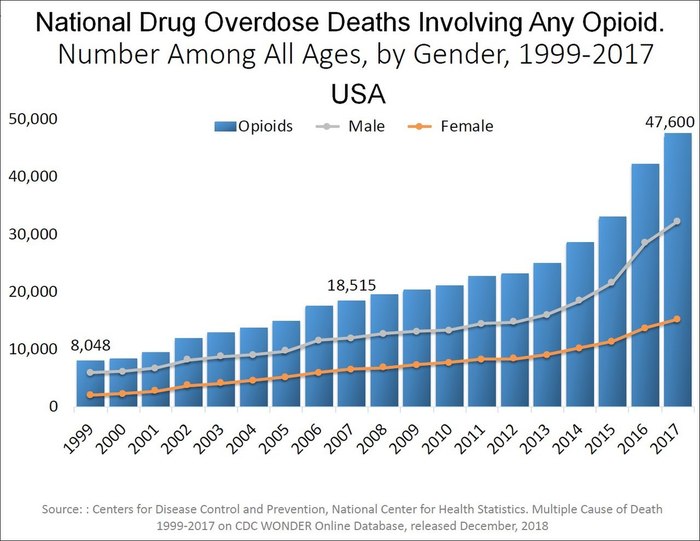 마약성이 있는 오피오이드 계열 진통제의 남용과 관련된 미국 내 사망자 수. 미국 질병통제예방센터