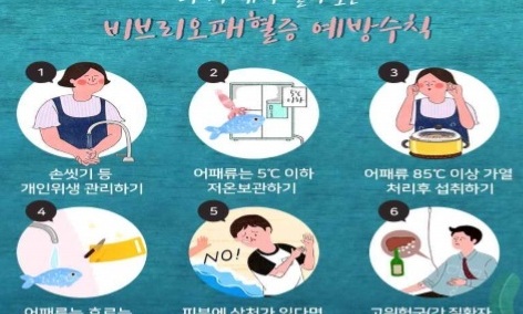 ‘9월 집중’ 비브리오패혈증, 만성질환자 특히 주의 필요