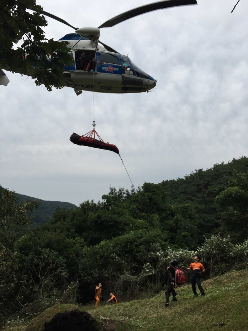 1일 오전 9시45분께 경북 청도군 각남면 함박리에서 119구조대가 벌에 쏘인 하아무개(58)씨를 헬기로 이송하고 있다. 경북소방본부 제공