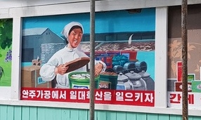 인공기 내건 홍대 앞 북한식 술집, ‘국가보안법 위반’일까