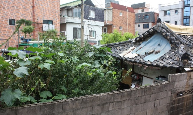 “전태일이 대구서 태어났다는 것을 아시나요?”