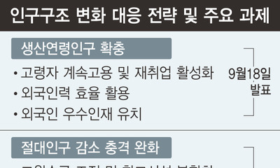 ‘정년뒤 계속 고용’ 인센티브 확대…외국인 우수인력 유치도