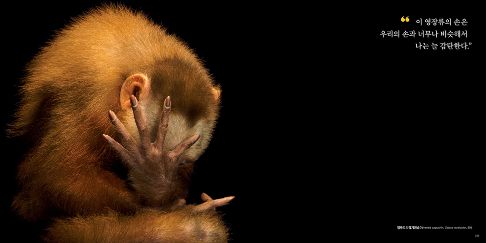 얼룩꼬리감기원숭이. ⓒ Joel Sartore / Photo Ark 사이언스북스 제공