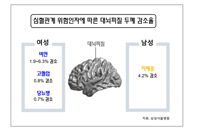 성별로 인지기능 저하와 치매 위험 인자가 다르다. 여성은 고혈압, 당뇨, 비만 등이, 남성은 저체중이 주된 위험요소이다. 자료 : 삼성서울병원