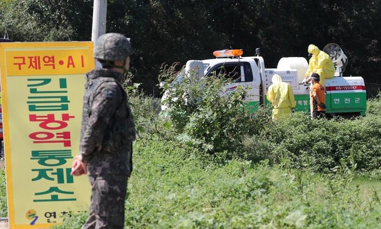 [속보] 파주 농장 2곳 돼지열병 의심 신고…오늘밤 확진여부 결론