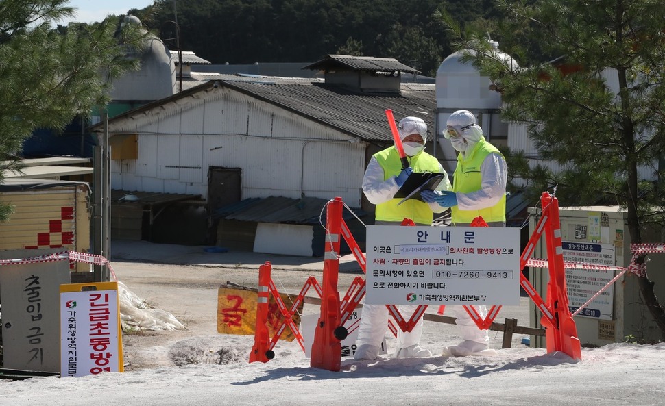 23일 오전 아프리카돼지열병(ASF) 의심 신고가 접수된 경기도 김포시의 돼지농장에서 방역 관계자들이 농장 출입을 통제하고 있다. 김포/박종식 기자 anaki@hani.co.kr