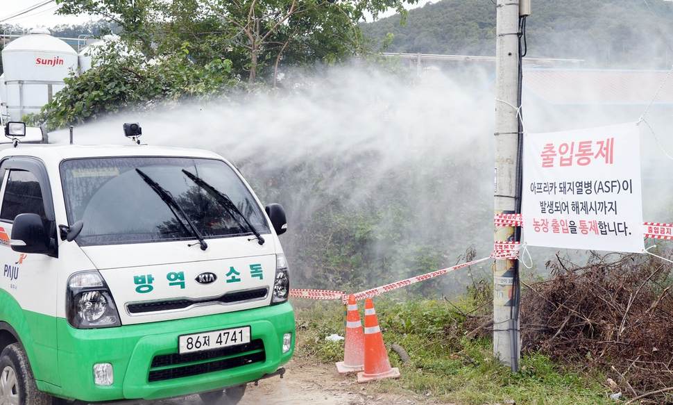 아프리카돼지열병 확산…돼지 일시이동중지명령 48시간 연장