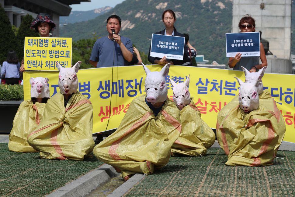 동물권 단체 ‘케어’와 ‘한국동물보호연합’ 회원들이 26일 오후 서울 광화문광장에서 기자회견을 열어 ‘아프리카돼지열병’ 방역 및 처분 현장에서 생매장하고 있다고 주장하며 생매장 살처분 중단을 촉구하는 상징의식을 하고 있다. 김정효 기자 hyopd@hani.co.kr