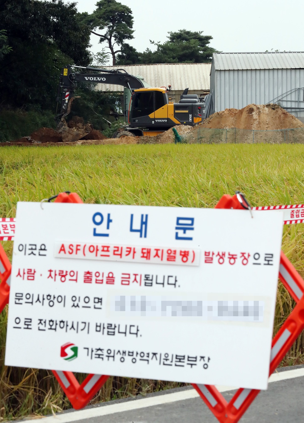 인천 강화지역에 아프리카돼지열병(ASF)이 확산해 방역당국에 비상이 걸린 27일 오후 국내 8번째로 ASF가 확진된 인천시 강화군 강화읍 한 양돈농장에서 포클레인이 살처분 작업을 위해 땅을 파고 있다.  연합뉴스