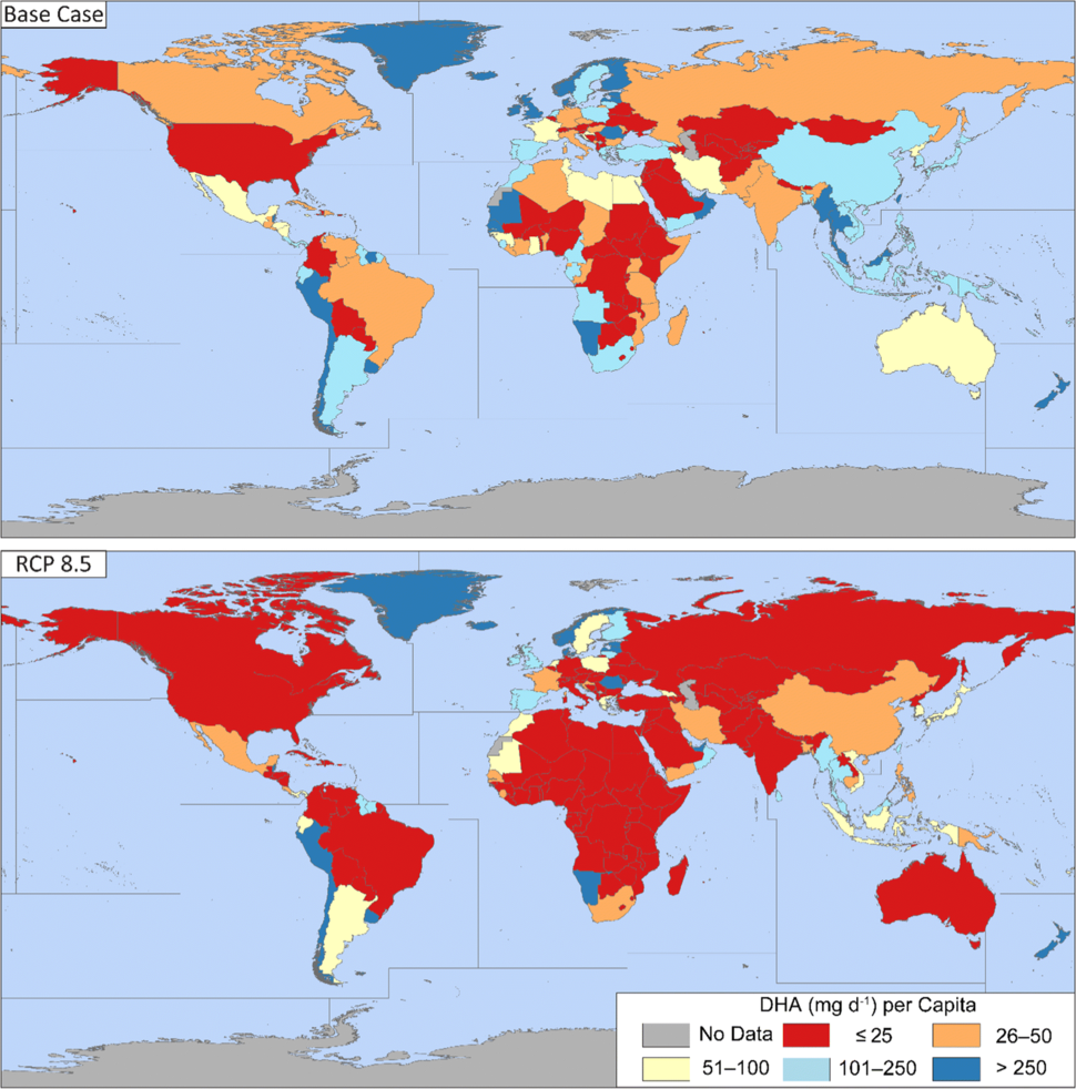 현재(위 그림)와 ‘저감 정책을 쓰지 않고 지금처럼 온실가스를 배출할 경우’(대표농도경로 RCP 8.5) 2100년의 1인당 하루 디에이치에이 섭취량(단위 ㎎)의 세계 분포. ‘엠바이오’(MBIO) 제공