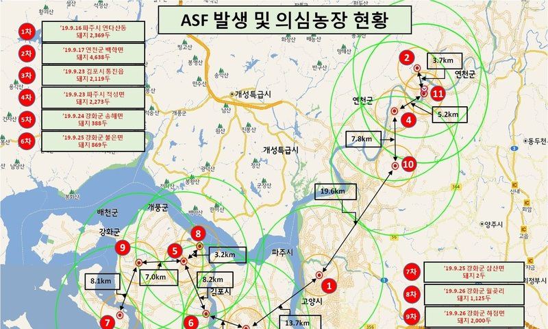 엿새 만에 또…파주서 아프리카돼지열병 추가 발생