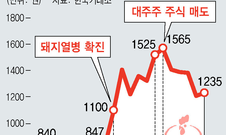 ‘급등’ 돼지열병 테마주, 대주주 차익 매도에 개미 ‘식은땀’