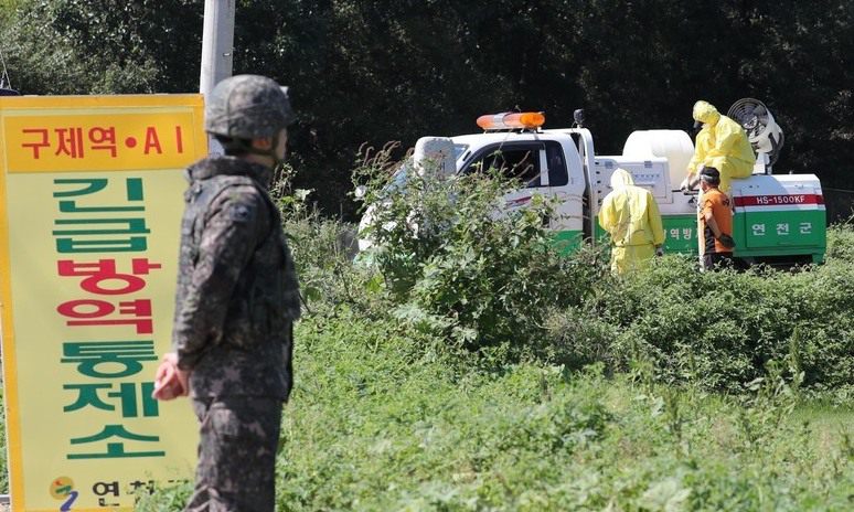 국방부, DMZ 등 남북접경서 7일간 ‘돼지열병’ 헬기 방역