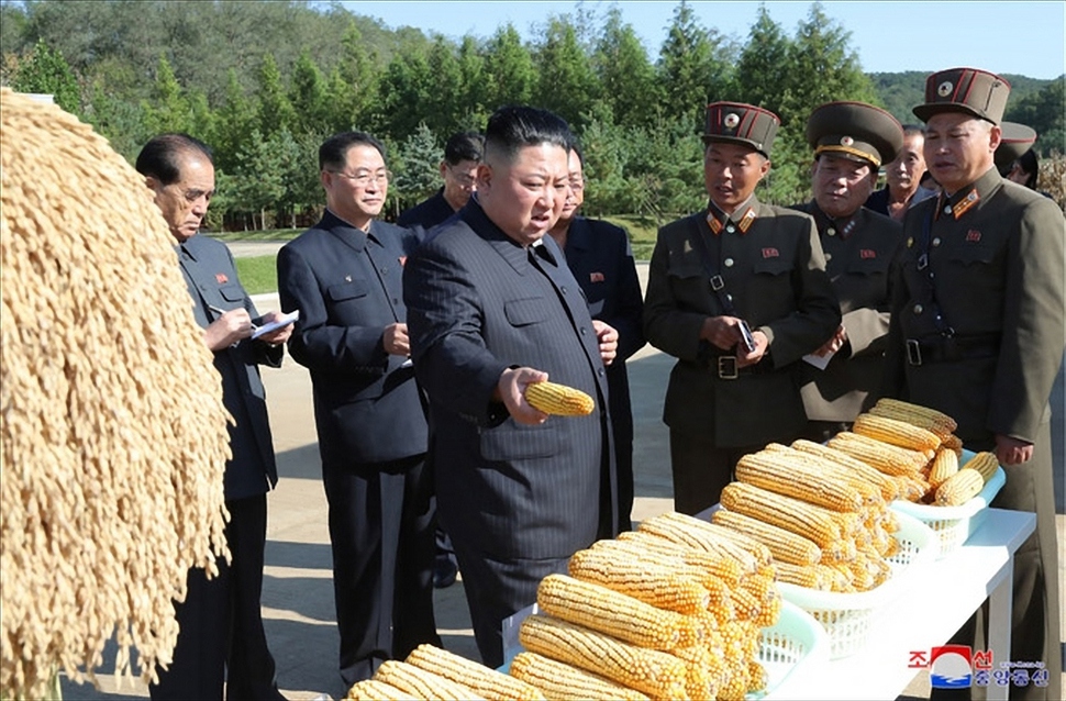 김정은 북한 국무위원장이 “나라의 종합적인 종자연구개발 기지”로 불리는 조선인민군 제810부대 산하 1116호 농장을 현지지도했다며 9일 <조선중앙통신>이 공개한 사진. 조선중앙통신 연합뉴스