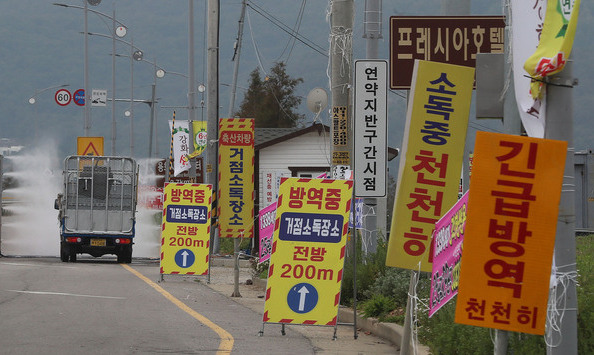 [사설] 멧돼지와 ‘전면전’ 넘어 ‘돼지열병’ 총체적 대책을