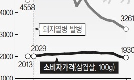 삼겹살 소매가 1천원대 하락…대형마트, 돼지고기 소비촉진 행사 마련