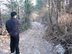 성묘도 좋지만, 산속에 도로까지 내서야