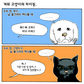 1월 27일 강도영의 사물 카툰