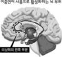 ‘이중어 구사 뇌 부위’ 찾았다