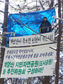 생명이 숨쉬는 곳…내몸에 솔향기 배었으면