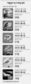 기후변화에 ‘다급해진’ 철새들