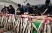 인제 황태축제 폐막…25만명 방문