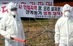 정읍서 AI 의심사례 추가 발견