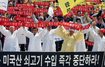 전국한우협 “광우병 쇠고기 수입 철회하라”