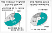 셋 중 둘 “방송 낙하산 중립성 해쳐”