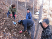 ‘산삼 영동’ 꿈이 커간다