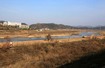 자전거길에 망가지는 ‘철새천국 공릉천’