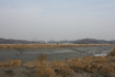 송도새도시 주변 갯벌 위기…새들도 떠나나