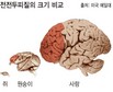 집안·집밖 행동 다른건 ‘전전두피질’ 탓