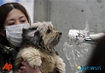 일본 먹을거리 방사능 오염 현실화 되나