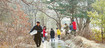 쇠박새·직박구리 ‘합창’…도심을 깨운다