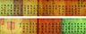 명에 겁박당하고 일본에 손발을 묶이다