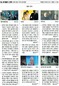 12월 29일 영화·연극 트위플의 선택