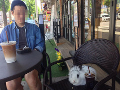 길거리에서 반려동물 팔면 불법인가요?